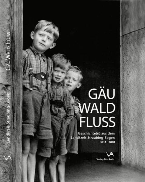 Gäu, Wald, Fluss: Geschichte(n) aus dem Landkreis Straubing-Bogen seit 1800 Politics & History