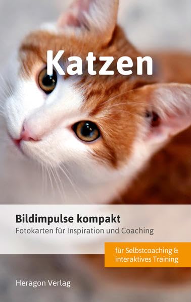 Bildimpulse kompakt: Katzen Business, Finance & Career