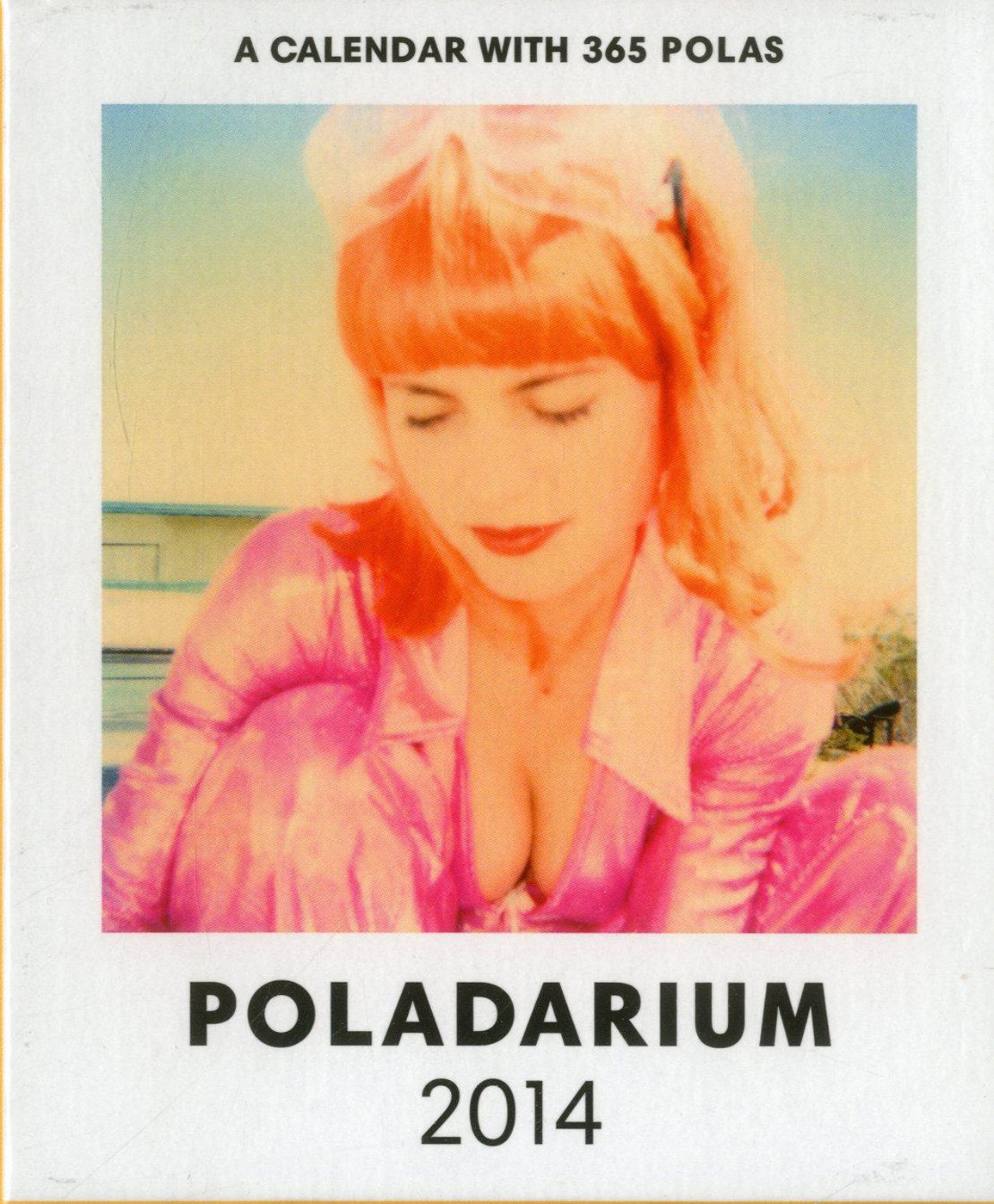 Poladarium 2014: Every day a new Polaroid. (Poladarium / Photodarium) Film, Art & Culture