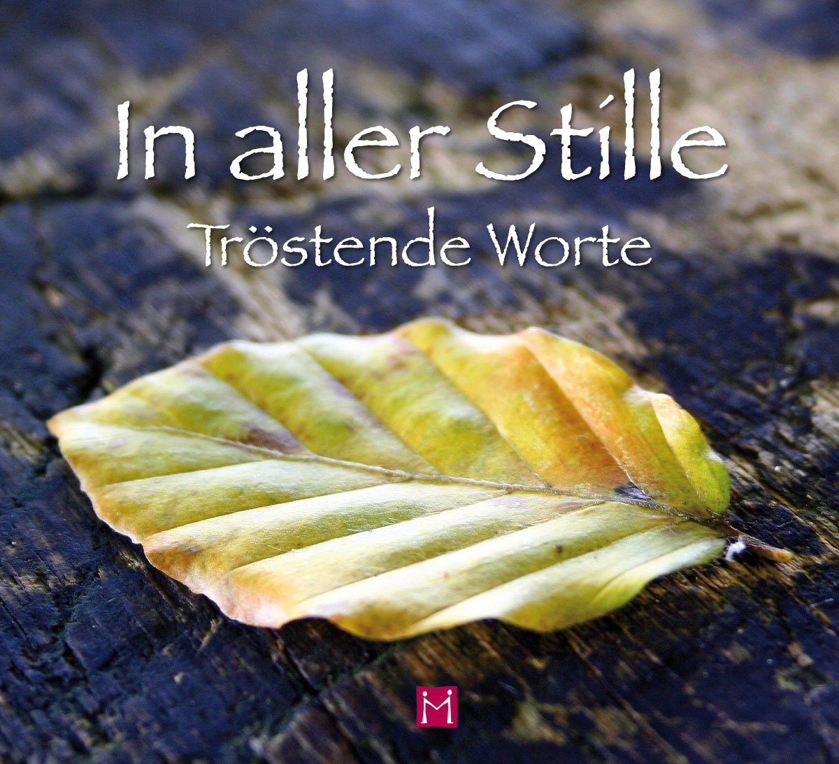 In aller Stille - Tröstende Worte book