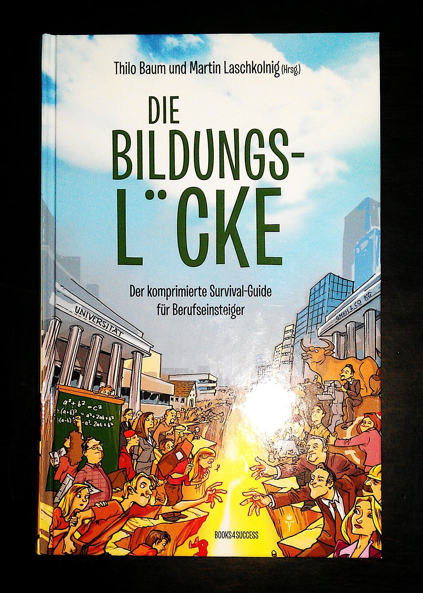Product Image: Die Bildungslücke