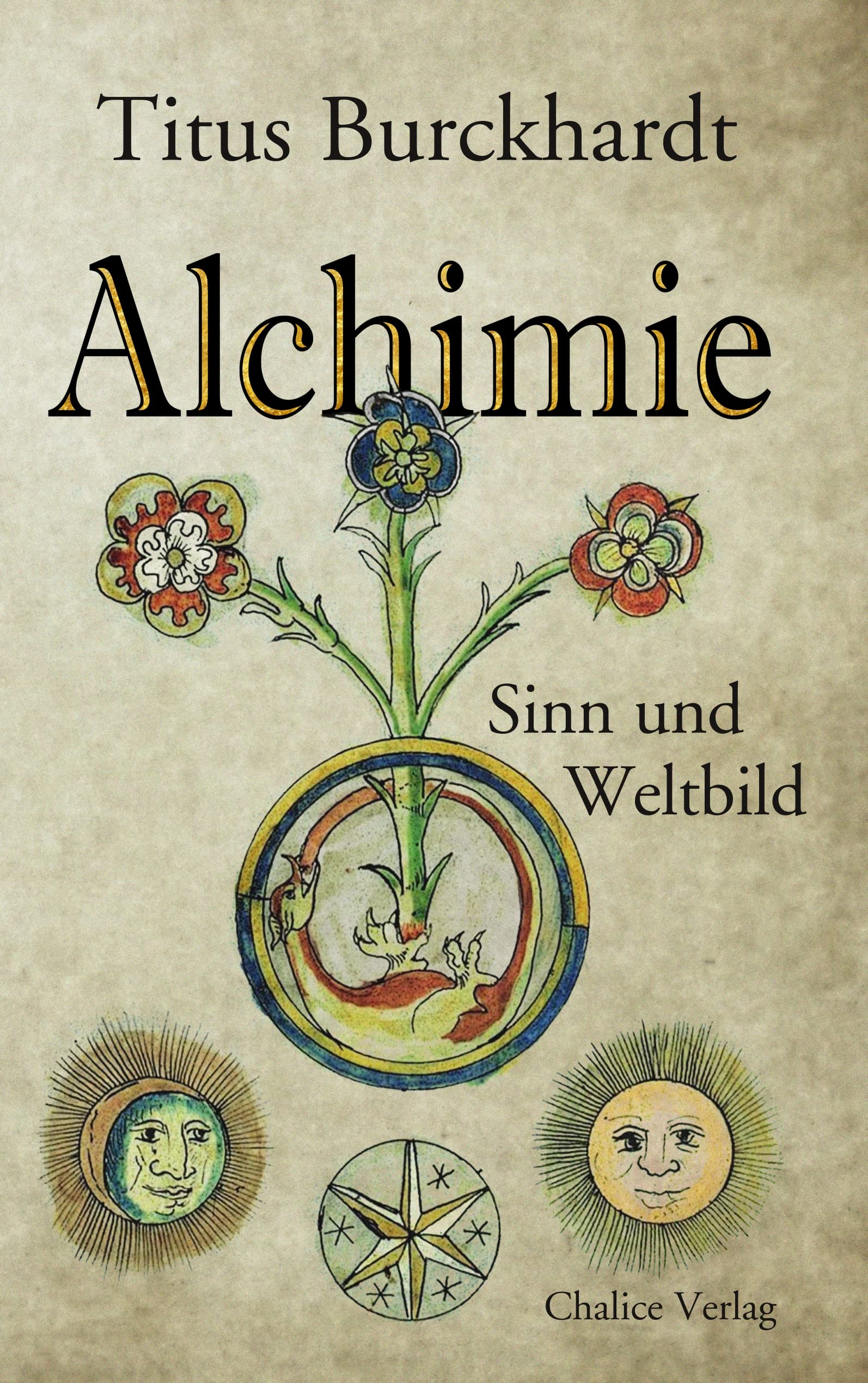 Alchimie: Sinn und Weltblid: Sinn und Weltbild Philosophy