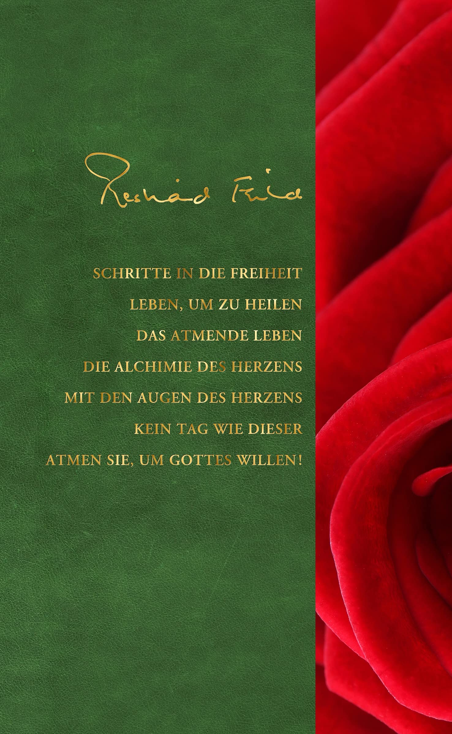 Product Image: Gesammelte Werke in drei Bänden: Band II