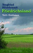 Hildebrandt, S: Friedrichsland Contemporary literature
