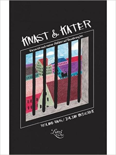 Knast & Kater: Warum ich nach der Abifahrt auf Bewährung bin ... Contemporary literature