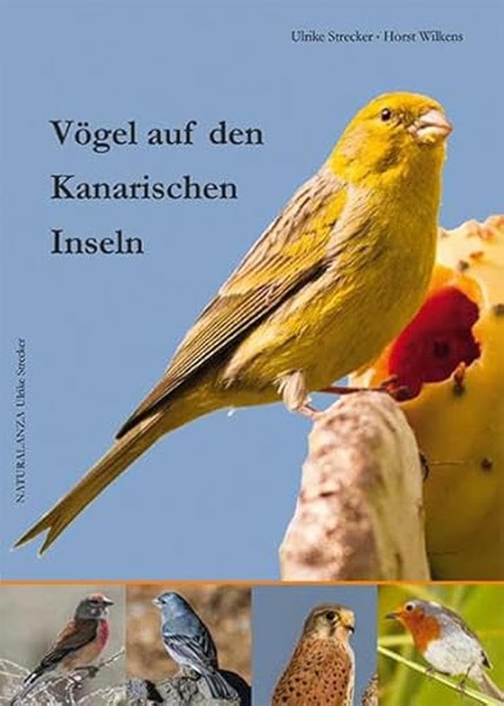Vögel auf den Kanarischen Inseln Leisure, Home & Garden