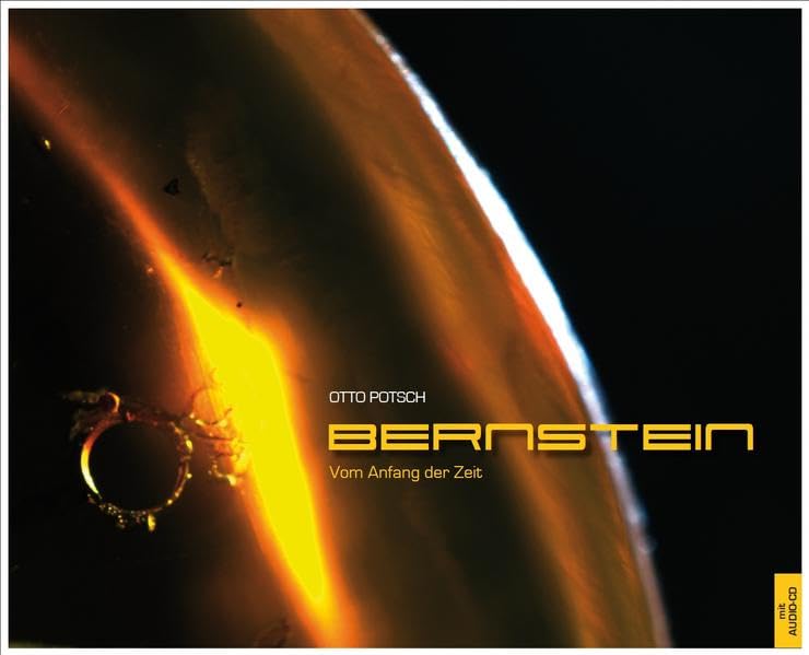 Bernstein - vom Anfang der Zeit: mit Musik-CD "Die andere Dimension" Second-hand books on film, art and culture