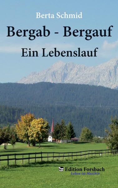 Product Image: Bergab - Bergauf: Ein Lebenslauf
