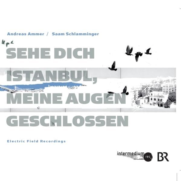 Sehe dich Istanbul, meine Augen geschlossen: Electric Field Recordings (intermedium) Contemporary literature