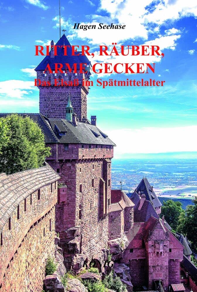 Ritter, Räuber, arme Gecken book