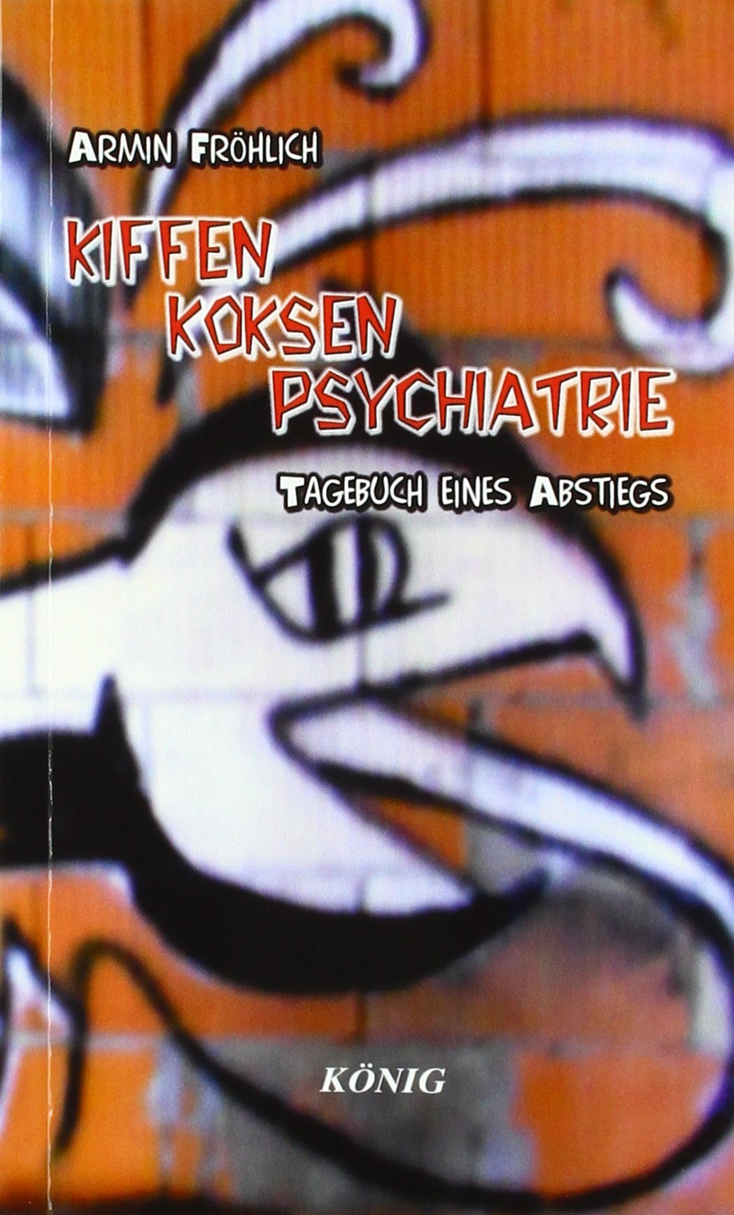 Kiffen - Koksen - Psychiatrie: Tagebuch eines Abstiegs Contemporary literature