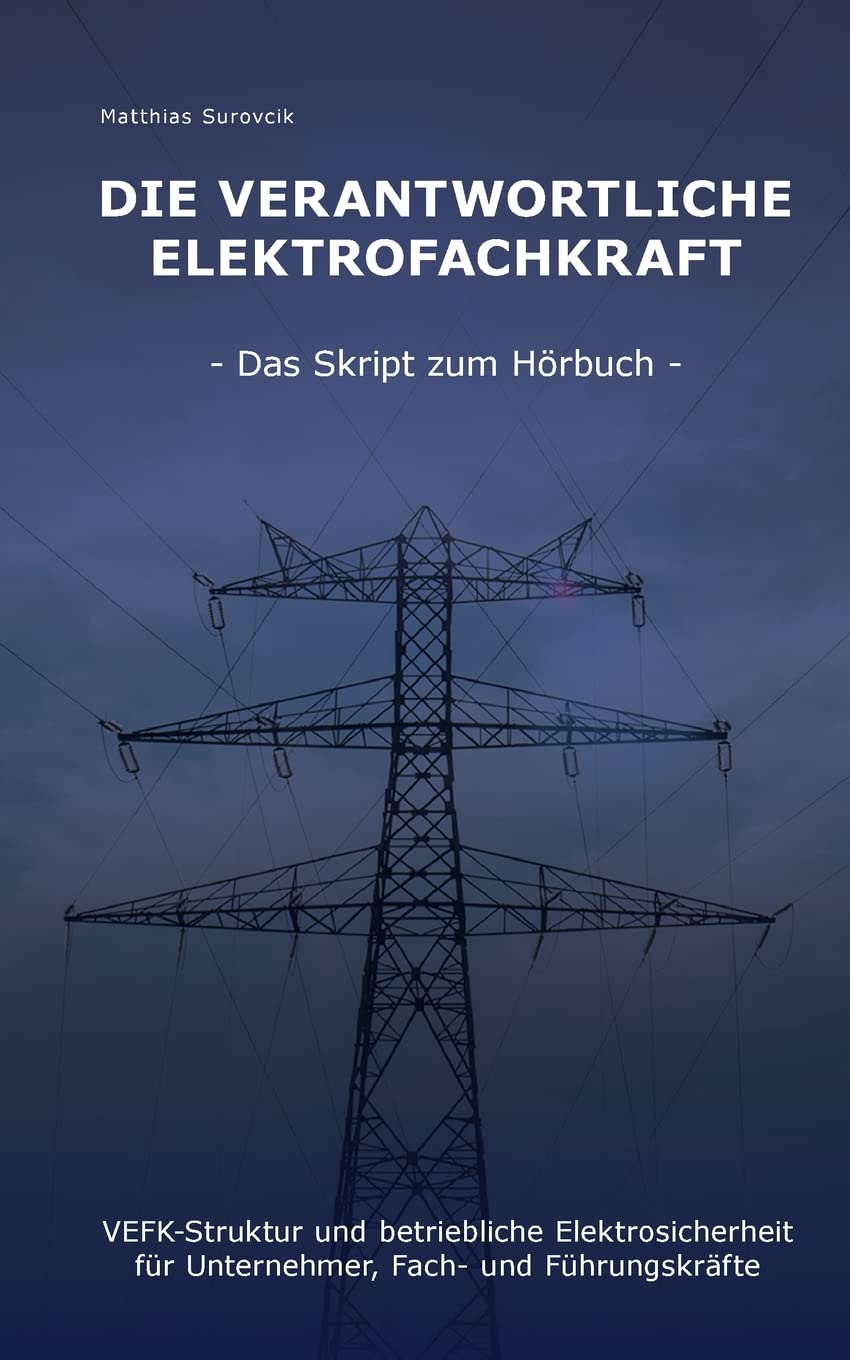 Die Verantwortliche Elektrofachkraft: VEFK-Struktur und Betriebliche Elektrosicherheit für Unternehmer, Fach- und Führungskräfte Business, Finance & Career