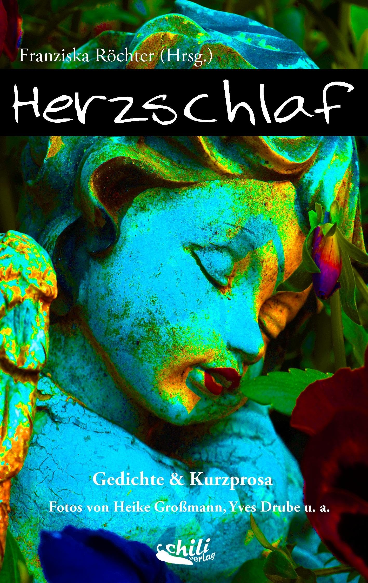 Herzschlaf Contemporary literature Books
