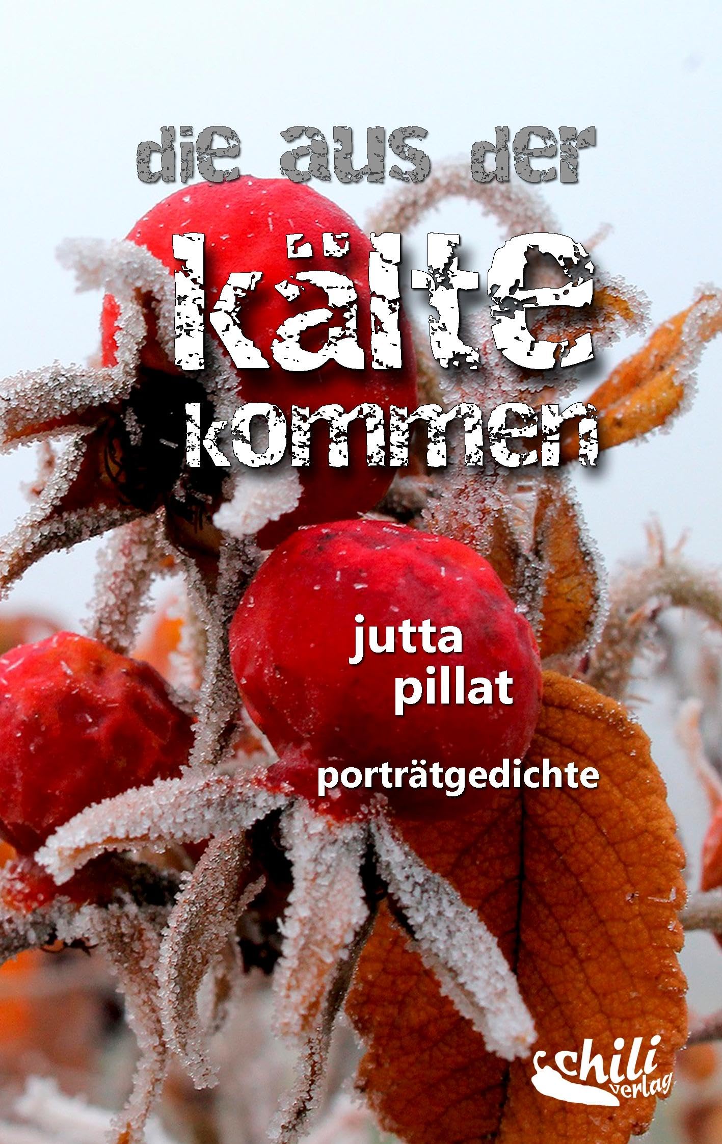 die aus der kälte kommen: porträtgedichte Contemporary literature