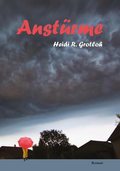 Anstürme: Roman Contemporary literature