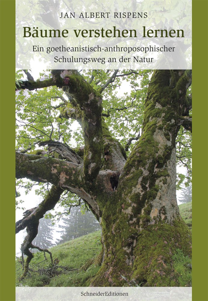 Bäume verstehen lernen: Ein goetheanistisch-anthroposophischer Schulungsweg an der Natur Natural Sciences