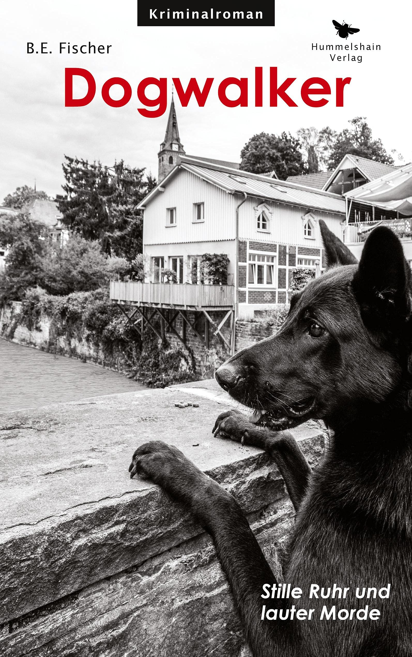 Dogwalker Contemporary literature Books