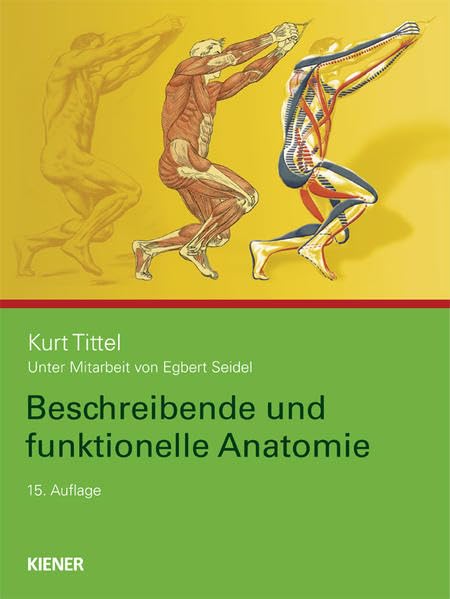 Beschreibende und funktionelle Anatomie Medicine