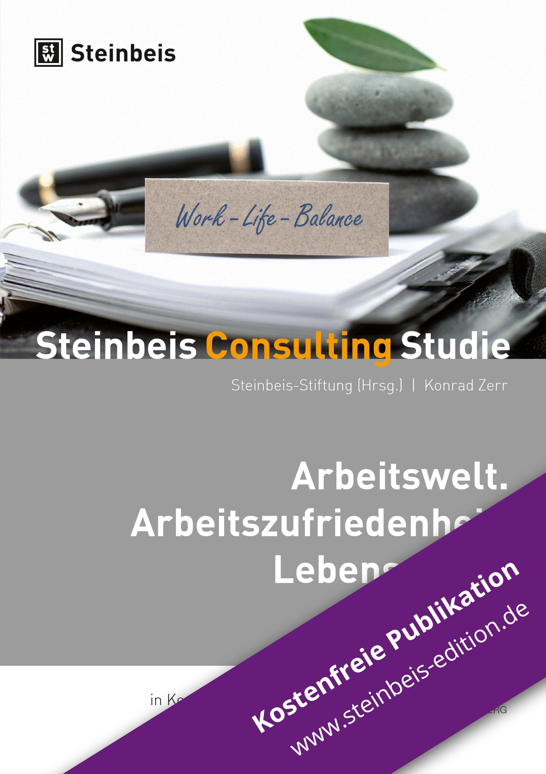 Arbeitswelt. Arbeitszufriedenheit. Lebensglück.: Steinbeis Consulting Studie in Kooperation mit den Wirtschaftsjunioren Baden-Württemberg Politics & History