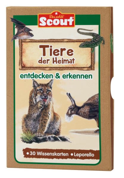 Scout Lernkarten-Box - Tiere der Heimat: entdecken & erkennen book