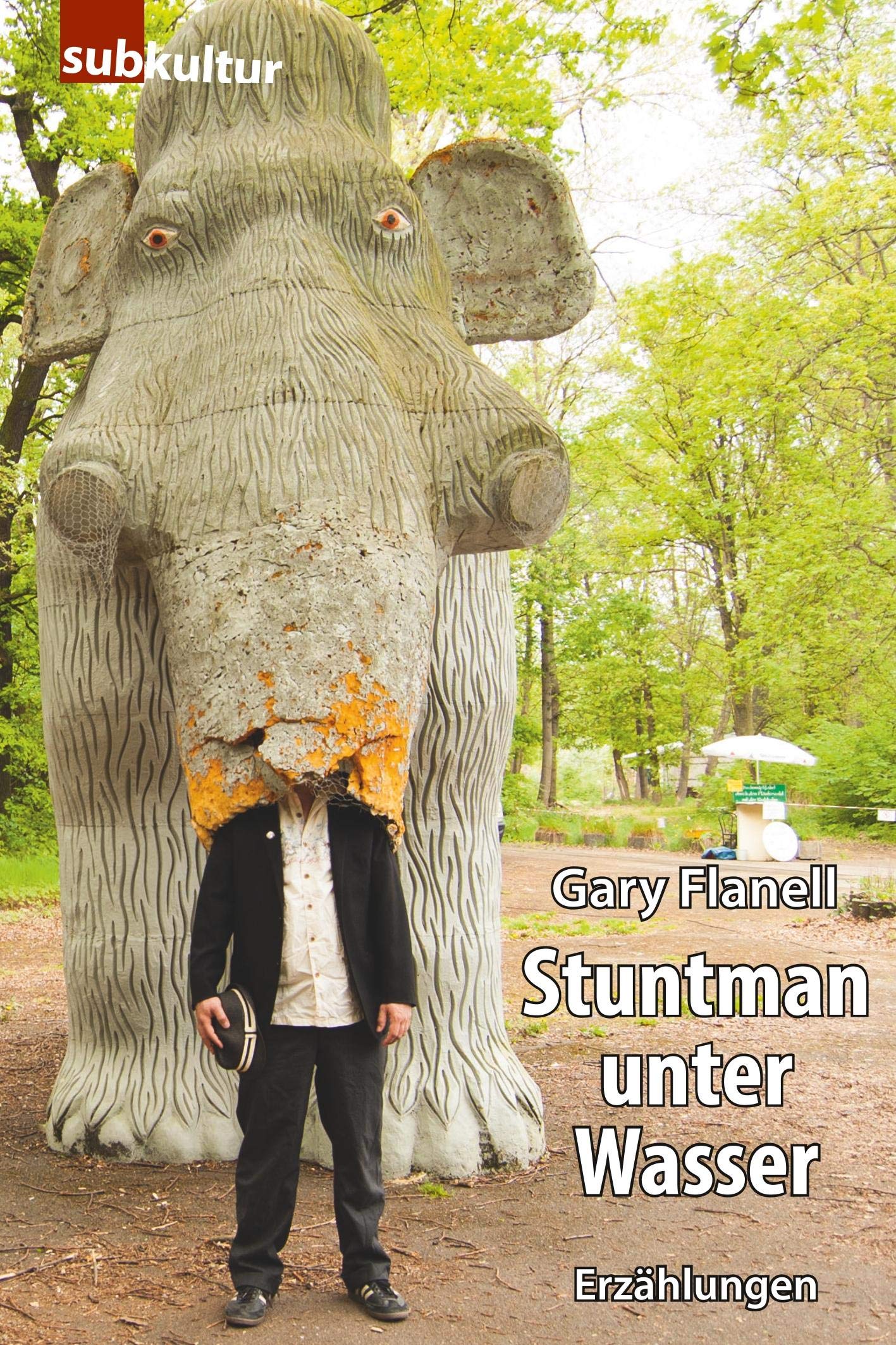 Stuntman unter Wasser: Erzählungen Essays & Short Stories