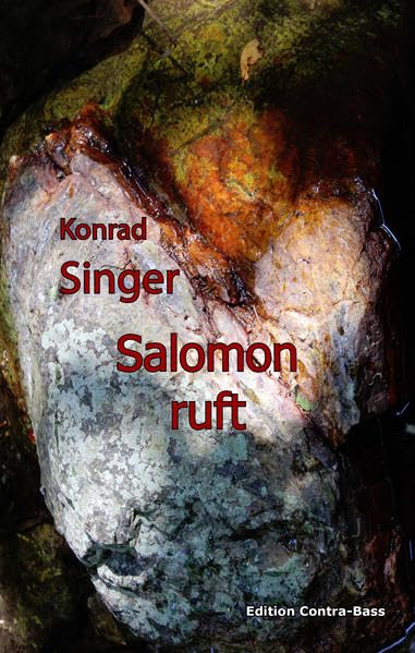 Salomon ruft: Erzählung Fiction