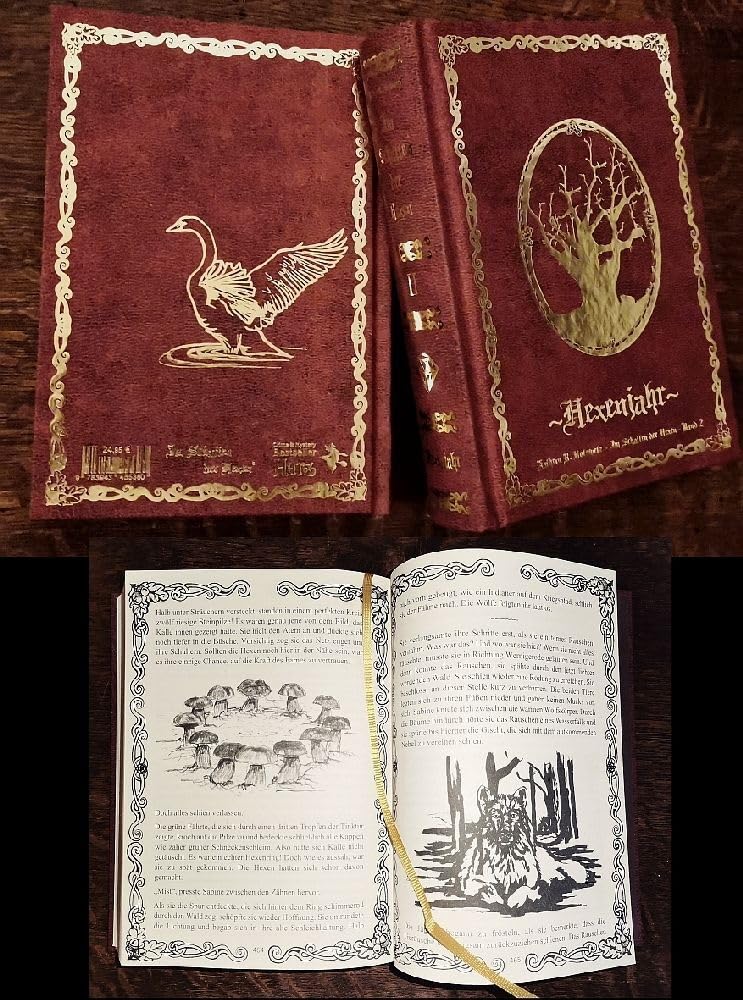 Im Schatten der Hexen II: Hexenjahr - Schmuckedition Bd. 2 - Ein mystischer Harz-Krimi (Im Schatten der Hexen: Jage nicht, was Du nicht töten kannst!) Contemporary literature