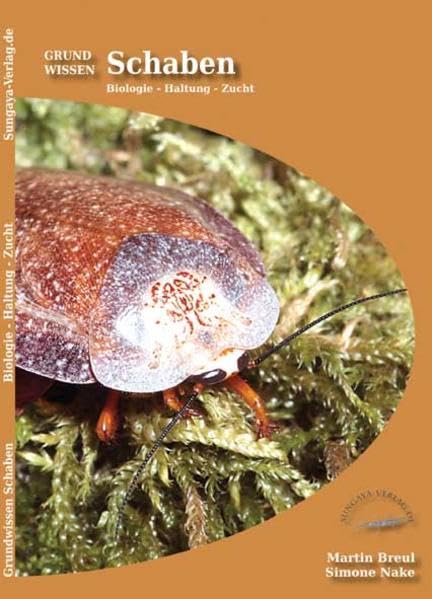 Grundwissen Schaben: Biologie - Haltung - Zucht Leisure, Home & Garden