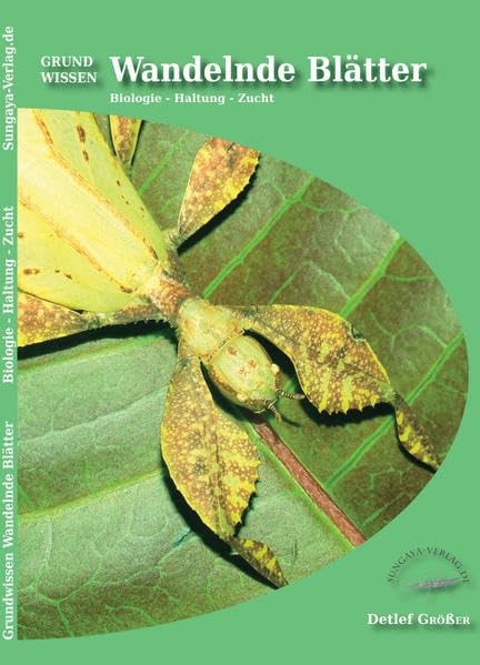 Grundwissen Wandelnde Blätter: Biologie - Haltung - Zucht Architecture