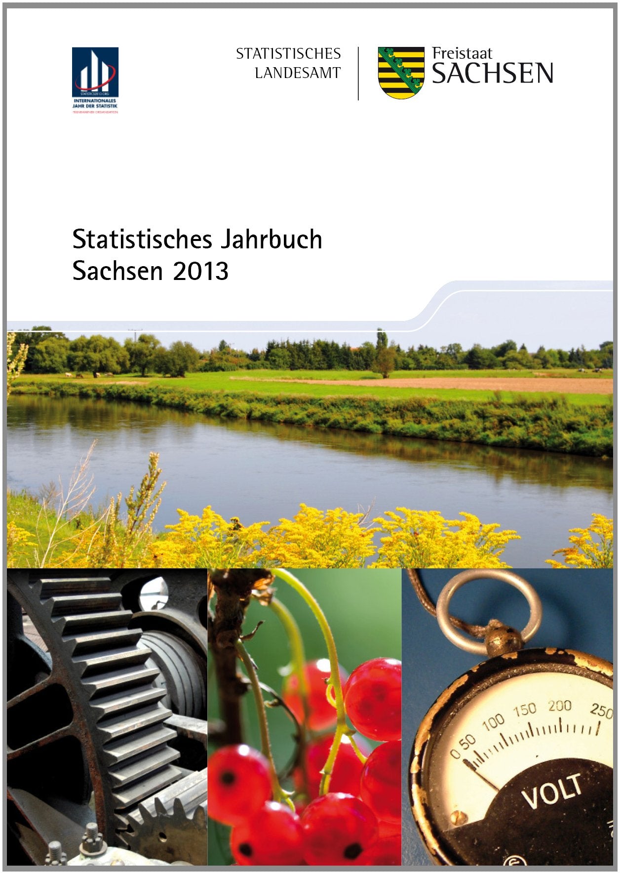 Statistisches Jahrbuch Sachsen: 2013 Reference Books