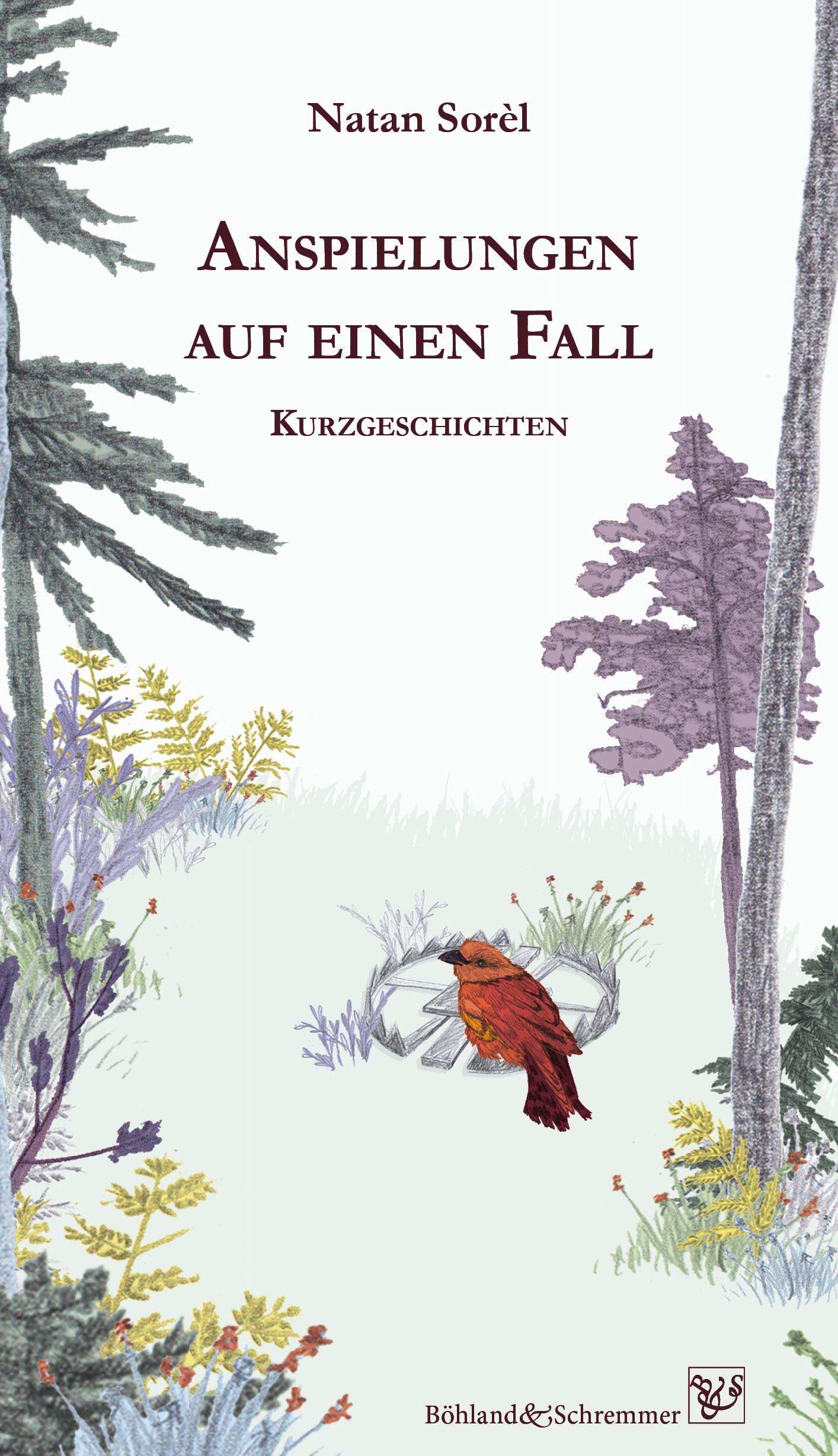 Anspielungen auf einen Fall: Kurzgeschichten Essays & Short Stories