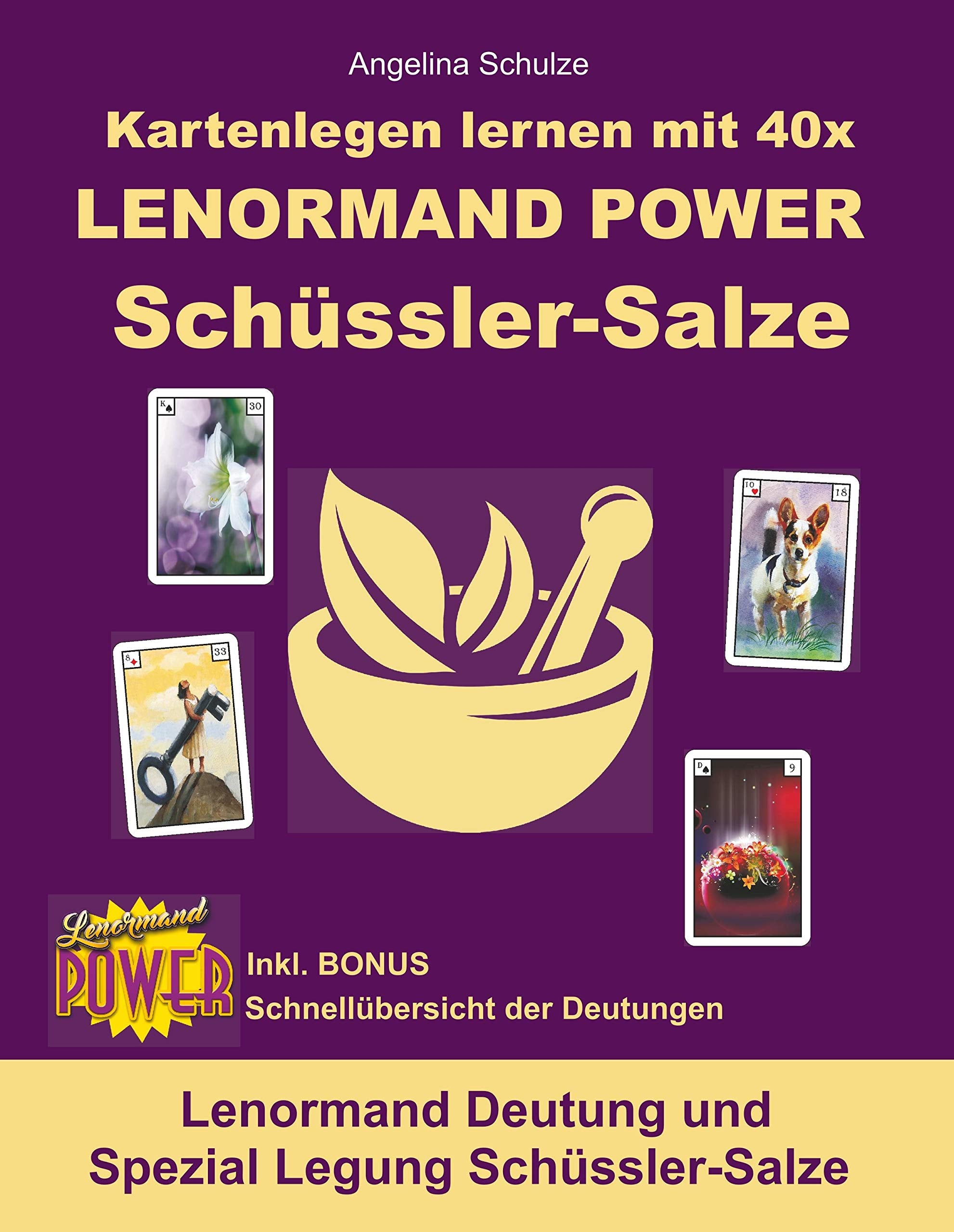 Kartenlegen lernen mit 40x LENORMAND POWER Schüssler-Salze: Lenormand Deutung und Spezial Legung Schüssler-Salze (Kartenlegen lernen mit 40x Lenormand Power – Anfänger und Fortgeschrittene) Social Sciences