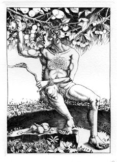 Wandelstern: Die Naturgedichte mit vier Kupferstichen von Baldwin Zettl Edition Ornament, Bd. 11 Poetry