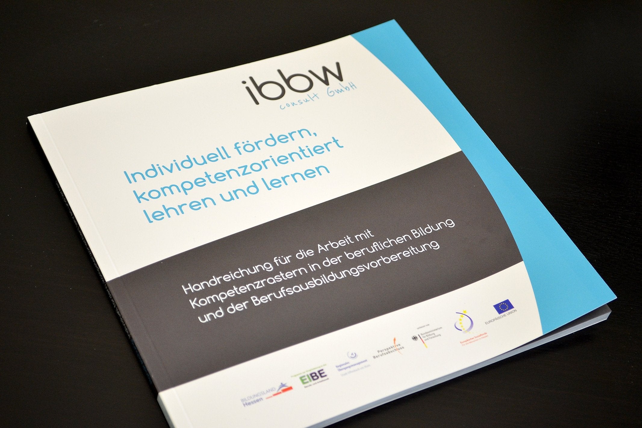 Individuell fördern, kompetenzorientiert lehren und lernen: Handreichung für die Arbeit mit Kompetenzrastern in der beruflichen Bildung und der Berufsausbildungsvorbereitung Politics & History