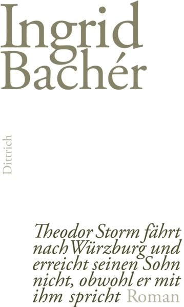 Theodor Storm fährt nach Würzburg und erreicht seinen Sohn nicht, obwohl er mit ihm spricht Contemporary literature Books