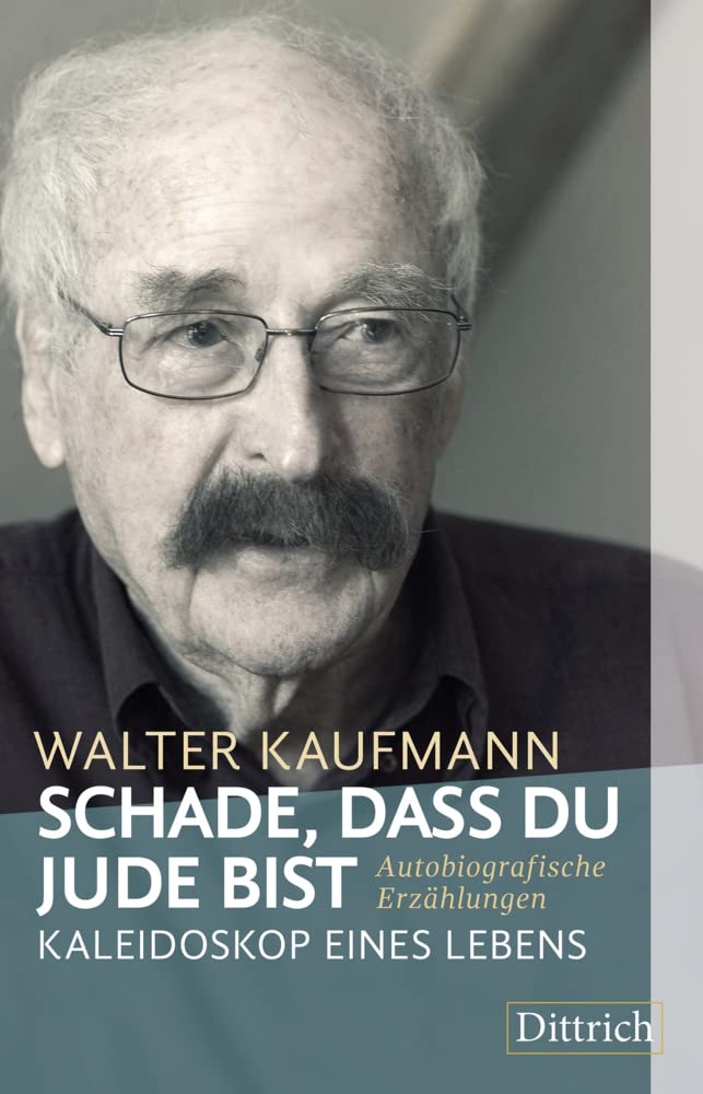 Product Image: Schade, dass du Jude bist