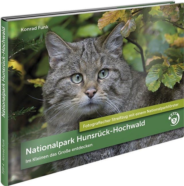 Nationalpark Hunsrück-Hochwald Photography