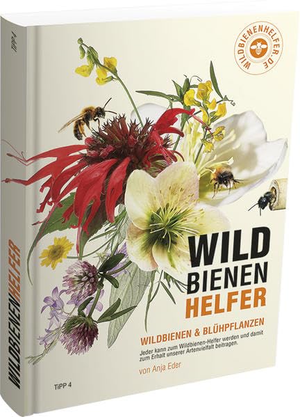 WILDBIENENHELFER: Wildbienen & Blühpflanzen Garden & Plants