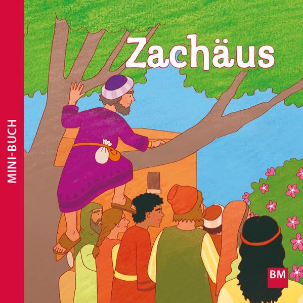 Zachäus: Mini-Buch Social Sciences