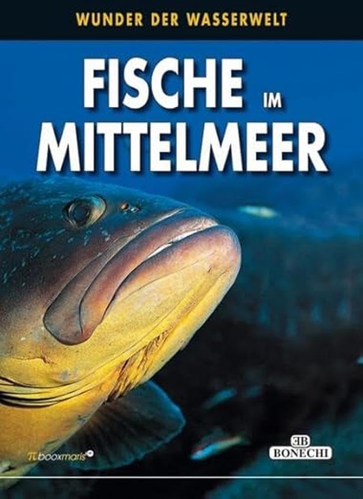 Fische im Mittelmeer: Wunder der Wasserwelt (PiBoox Maris) Natural Sciences