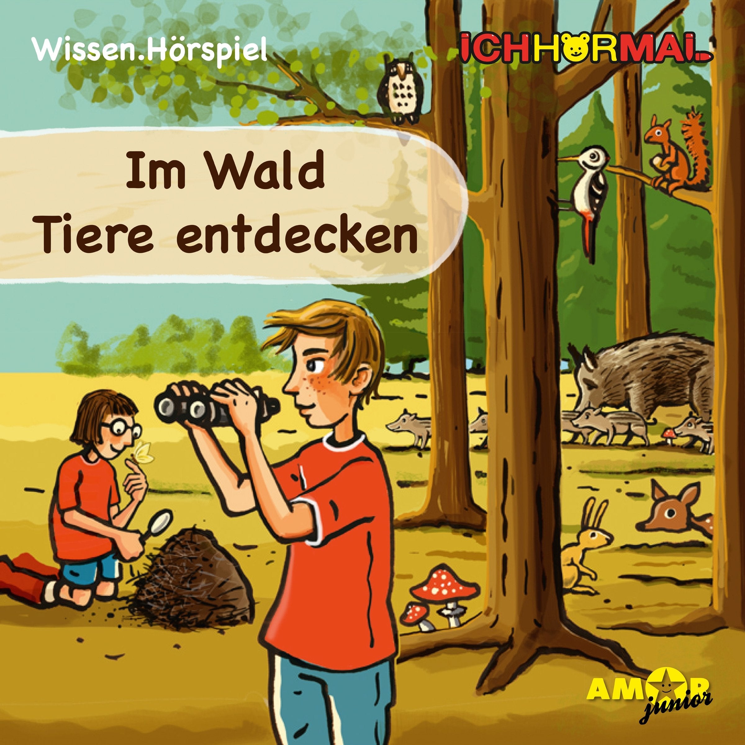 Im Wald Tiere entdecken - Wissen.Hörspiel ICHHöRMAL: Hörspiel mit Musik und Geräuschen, plus 16 S. Ausmalheft Children & Young People