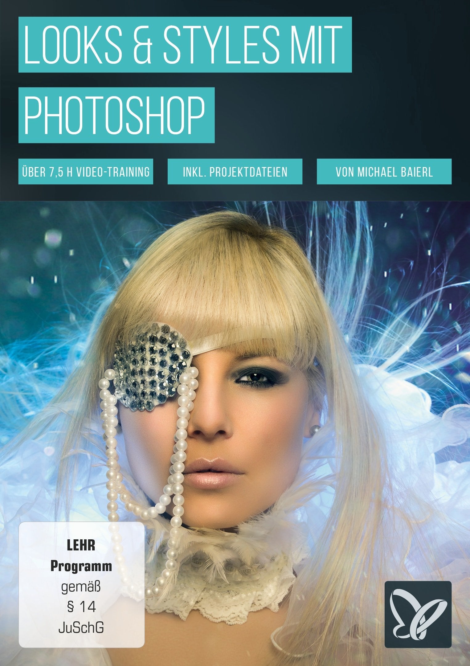 Looks & Styles mit Photoshop Web & Graphic Design