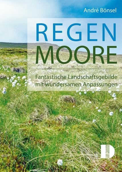 Regenmoore: Fantastische Landschaftsgebilde mit wundersamen Anpassungen Mathematics