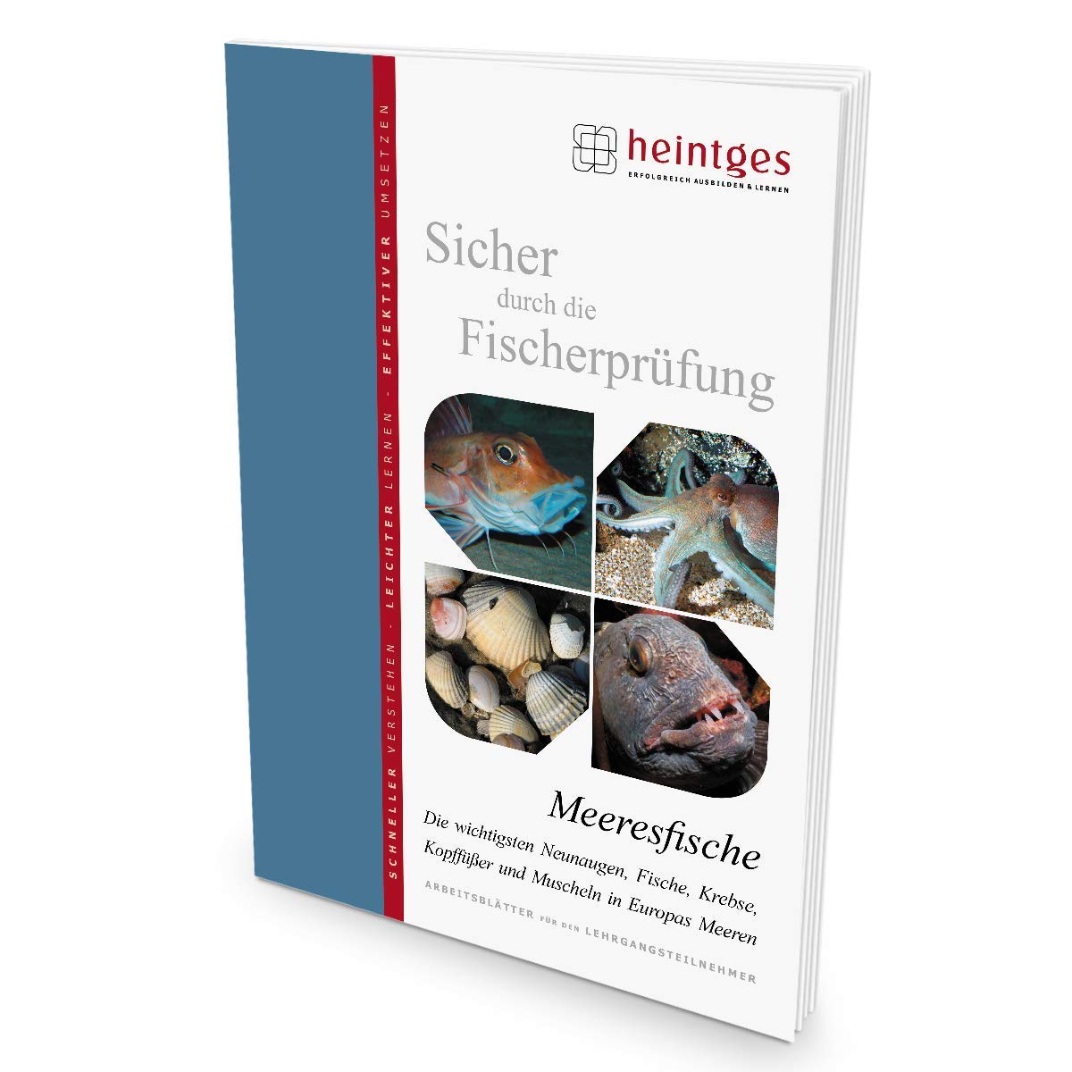 Meeresfische (Sicher durch die Fischerprüfung. Arbeitsblätter) Leisure & Fun