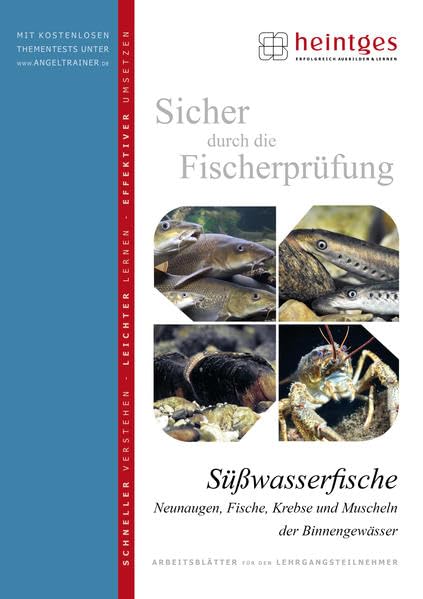 Süßwasserfische (Sicher durch die Fischerprüfung. Arbeitsblätter) Leisure & Fun