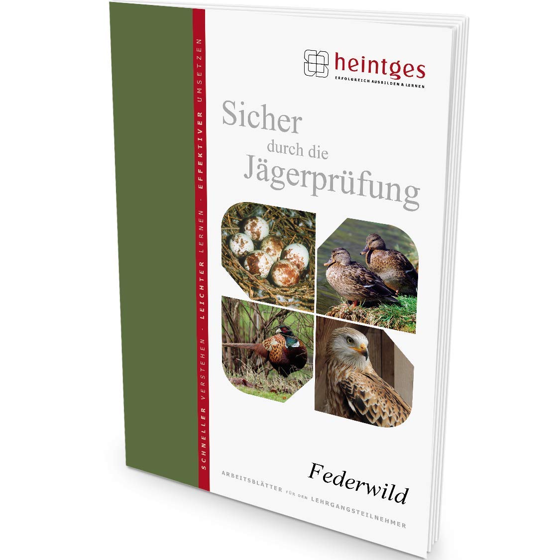 Federwild (Sicher durch die Jägerprüfung. Arbeitsblätter) Leisure & Fun