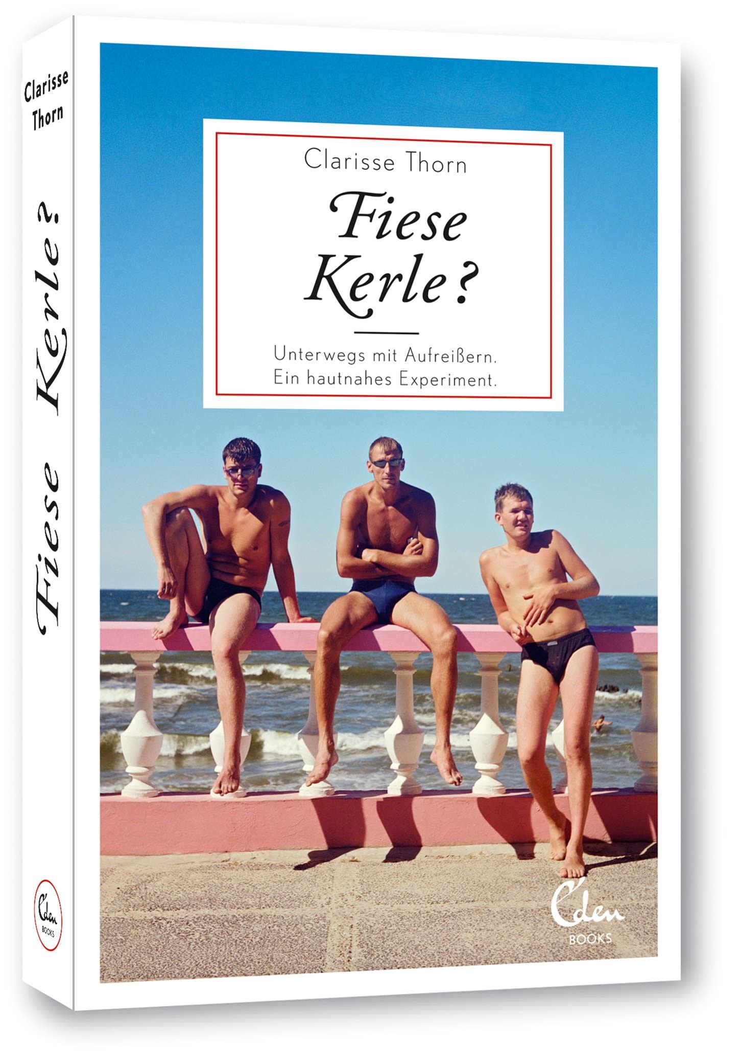 Fiese Kerle? Social Sciences Books