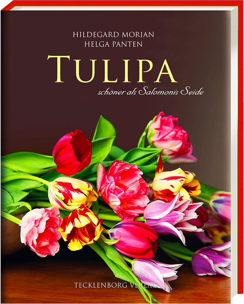 Tulipa: schöner als Salomonis Seide: schöner als Salomonies Seide Garden & Plants
