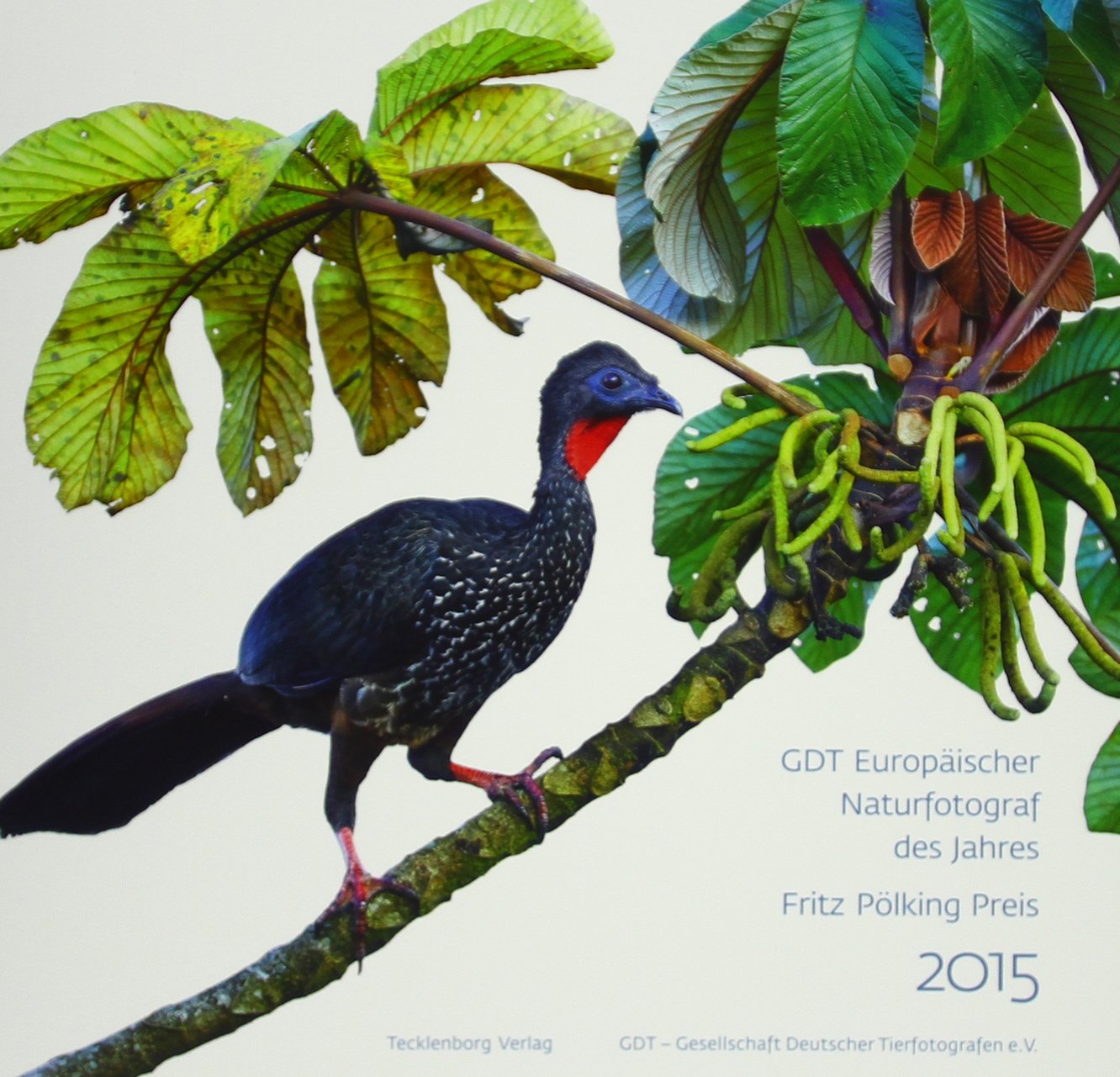Europäischer Naturfotograf des Jahres und Fritz Pölking Preis 2015 book
