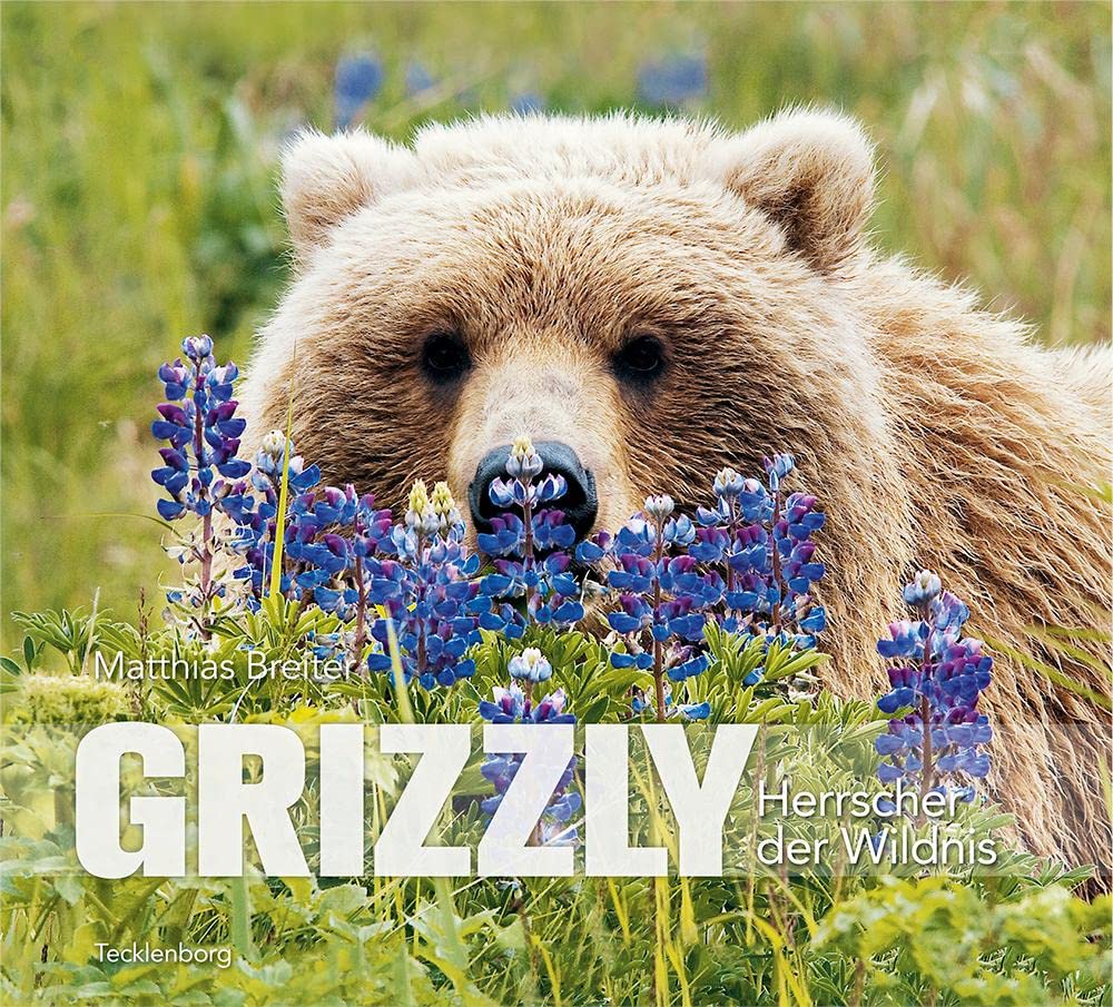 Grizzly: Herrscher der Wildnis Leisure, Home & Garden